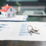 Rat Exterminator Sydney: What’s Included in a Professional Service