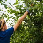 The Best Spots to Buy Chaise Sofas Sydney Homeowners Recommend